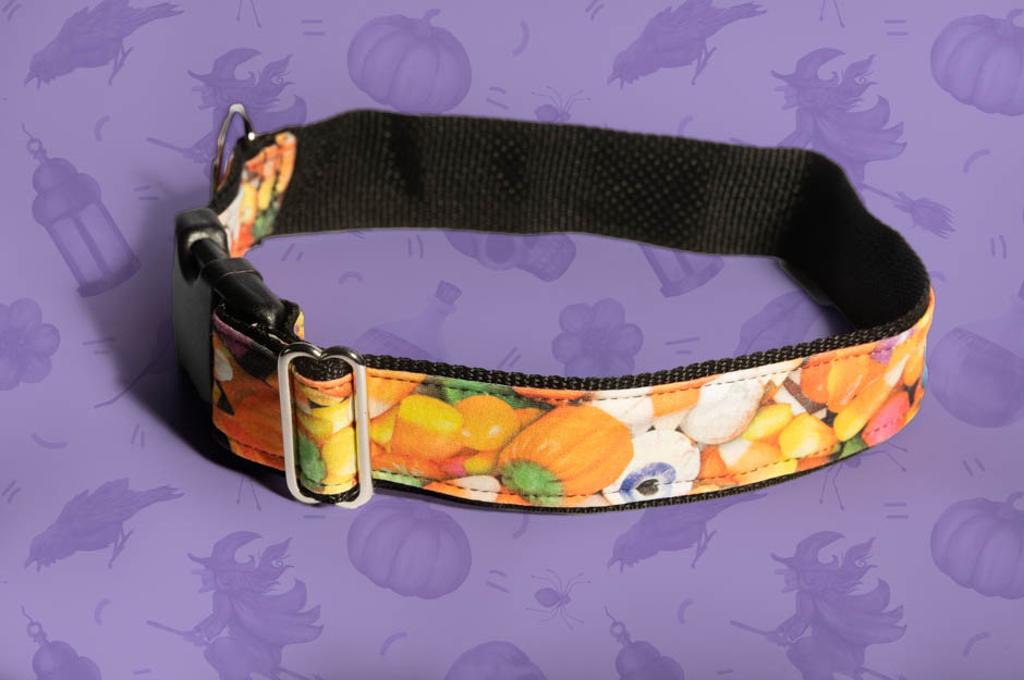 Trick or Treat