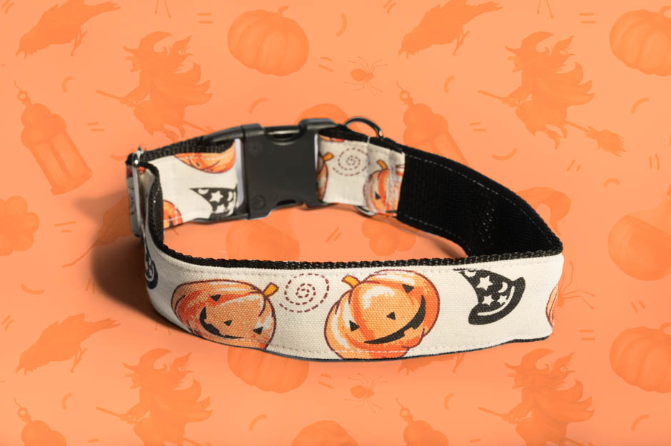 Pumpkin Patch