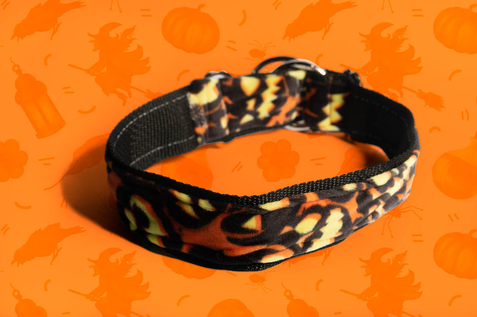 Night of the Pumpkin