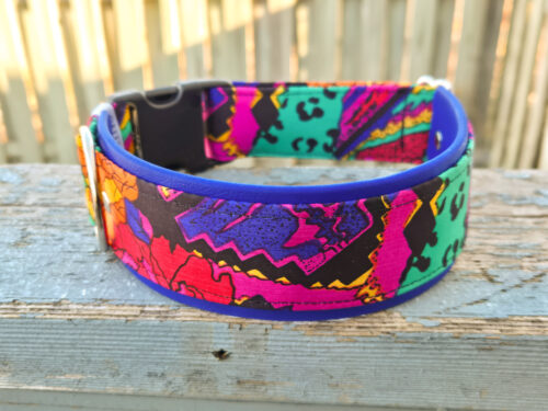 Bold colorful dog collar with loads of personality and royal blue Biothane